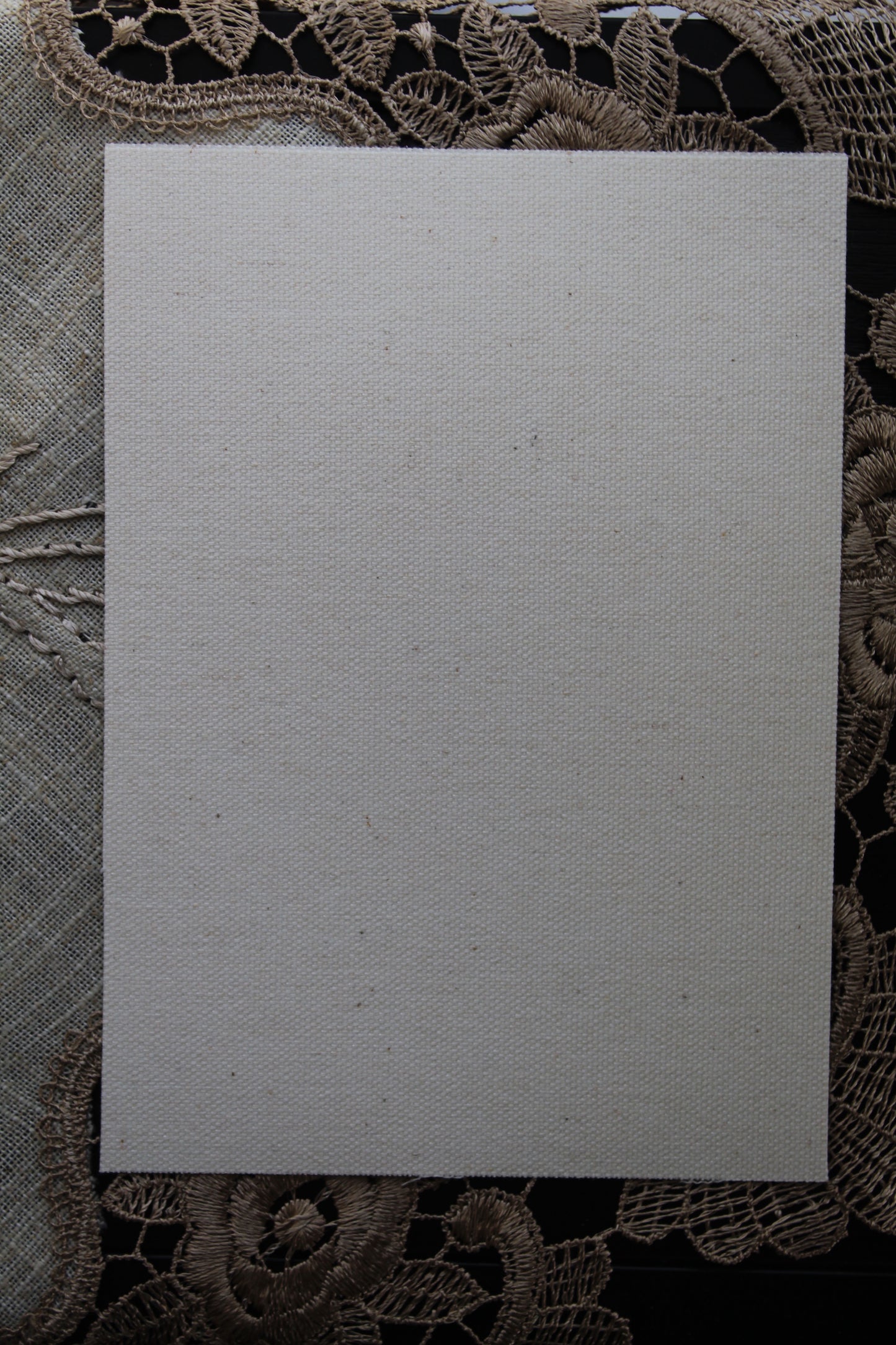 Pierced Heart of Mary Canvas Print