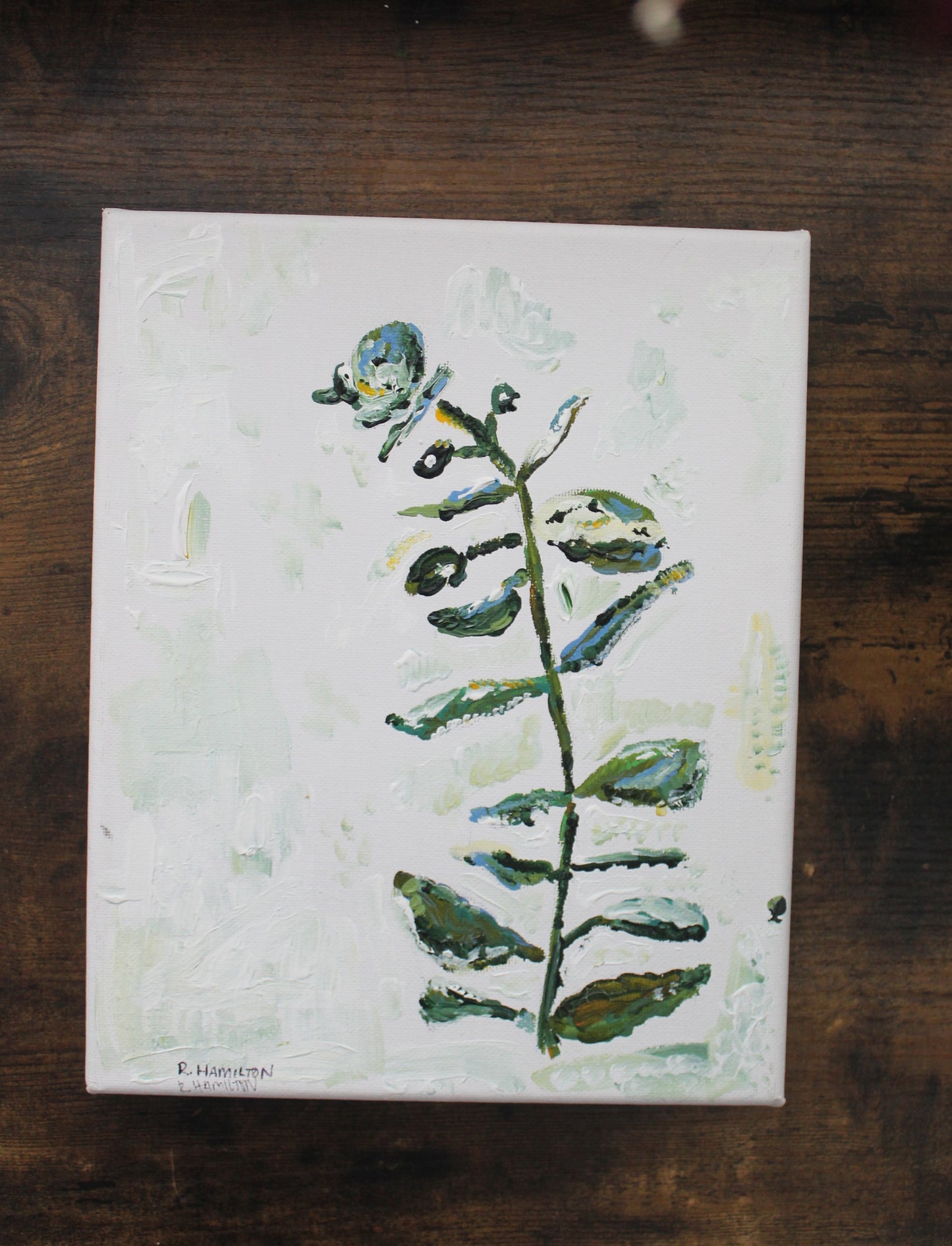 Original Eucalyptus Acrylic