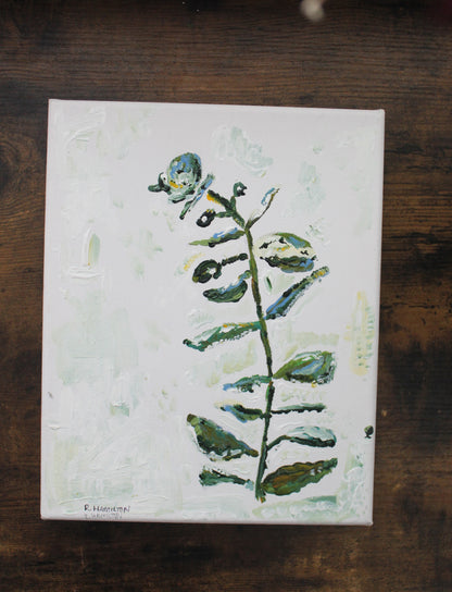 Original Eucalyptus Acrylic