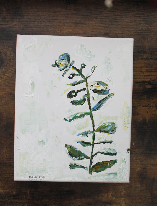 Original Eucalyptus Acrylic