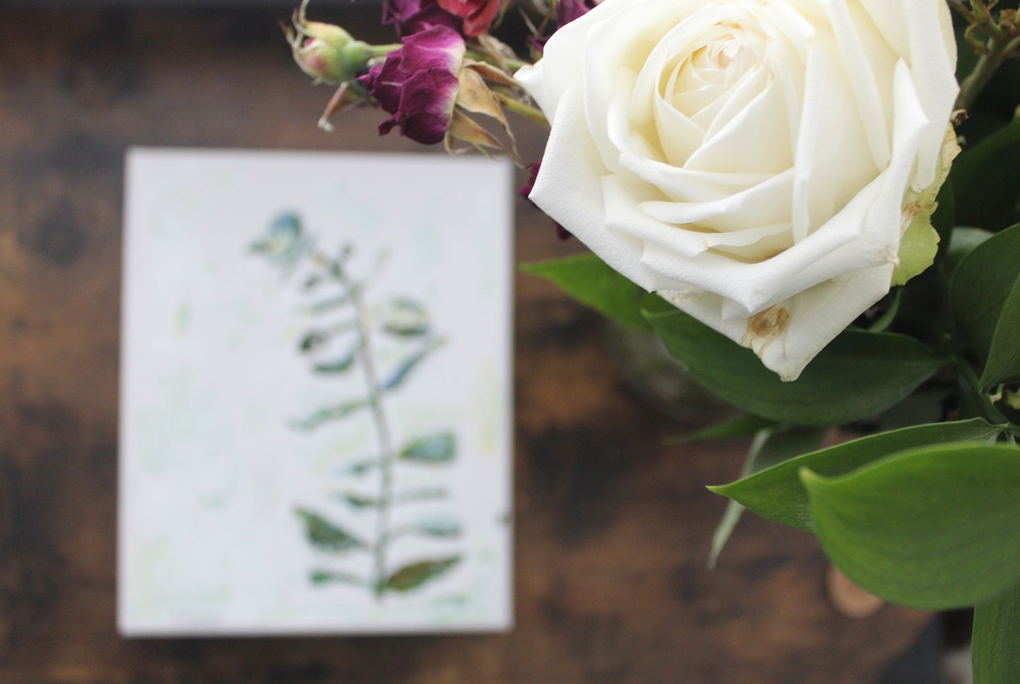 Original Eucalyptus Acrylic